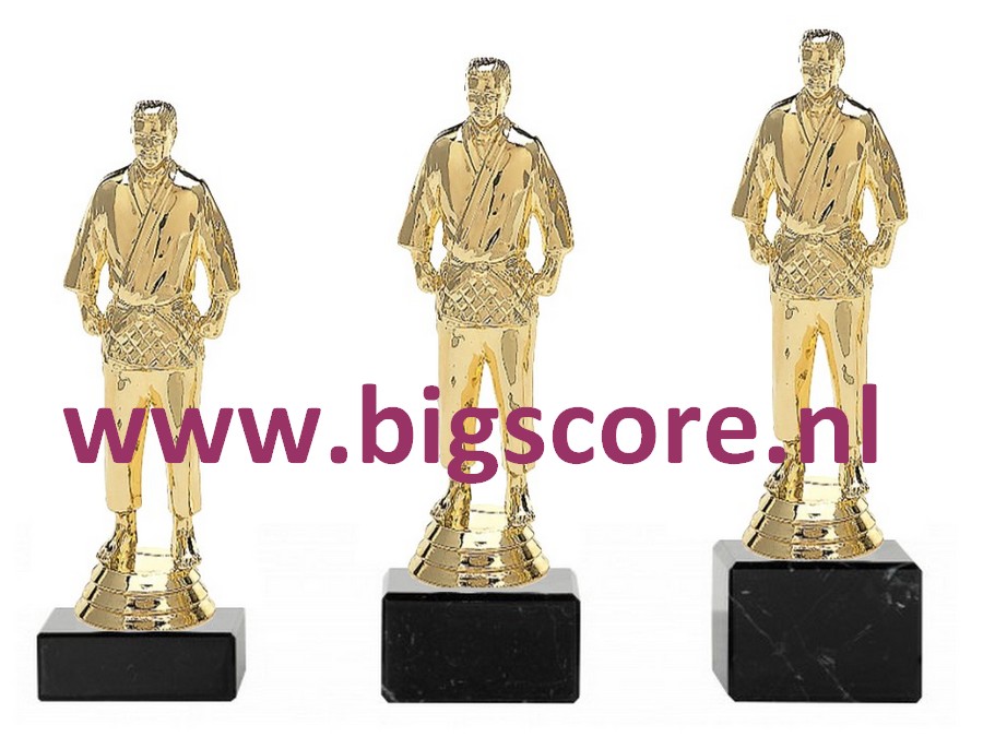 Judo Heer Goud 539-G